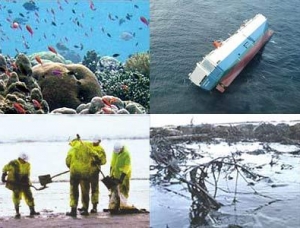 Đa dạng hóa phương thức bảo vệ môi trường biển