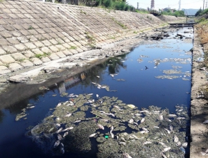 Nhiều giải pháp giải quyết ô nhiễm nguồn nước. 