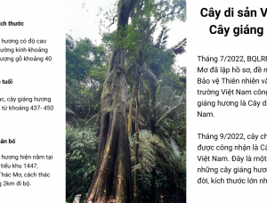 Bảo vệ những báu vật hàng trăm tuổi ở Đắk Nông