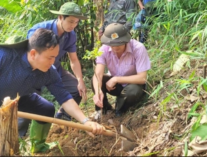 Làm giàu từ những cánh rừng thích ứng BĐKH