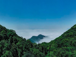 Vườn Quốc gia Ba Vì, nơi bảo tồn hệ sinh thái tự nhiên