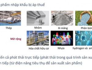 Làm rõ tác động của Cơ chế điều chỉnh biên giới các-bon đến Việt Nam