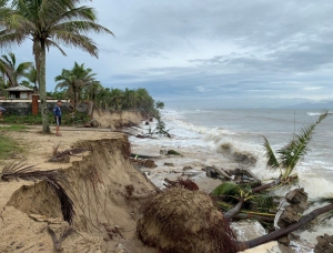 “Nuôi” bãi tạo bờ hồi sinh bãi biển từng đẹp nhất Châu Á