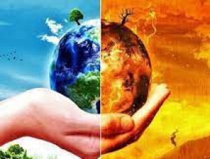 Triển khai các giải pháp cấp bách, có trọng tâm, trọng điểm để làm giảm mức độ dễ bị tổn thương, tăn