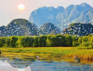 Nâng cao hiệu quả đánh giá tác động đa dạng sinh học