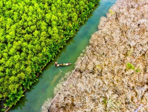 1.230 câu chuyện về bảo tồn và sử dụng bền vững các vùng đất ngập nước của Việt Nam