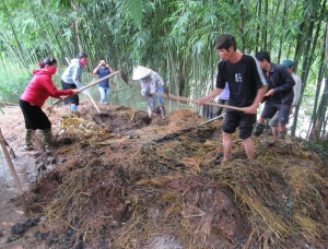 Tăng thu nhập từ mô hình nông nghiệp ứng phó biến đổi khí hậu