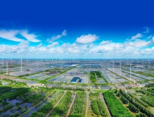 Tín chỉ các-bon - “tài nguyên” mới nổi