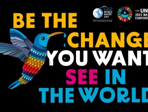 Tổ chức các hoạt động thiết thực, hiệu quả hưởng ứng Ngày Nước thế giới, Ngày Khí tượng thế giới, Ch