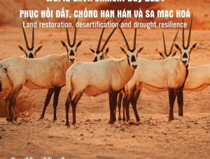 Tổ chức các hoạt động hưởng ứng Ngày Môi trường thế giới (05 tháng 6), Tháng hành động vì môi trường