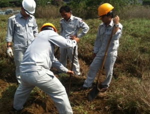 Báo cáo QTD đợt 1.2019