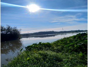 TRIỂN KHAI TRỤC VỚT LỤC BÌNH, KHAI THÔNG DÒNG CHẢY TRÊN SÔNG SÀI GÒN VÀ HỆ THỐNG KÊNH, RẠCH TRÊN ĐỊA